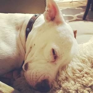 Meet your Posher, Kyoko